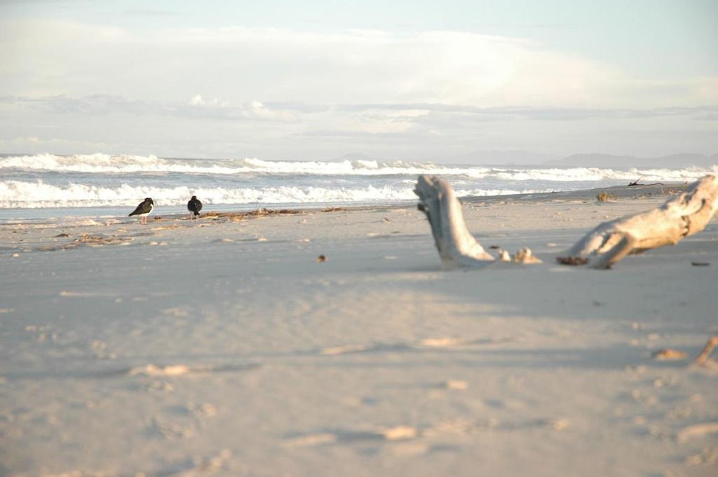 Holiday home Seabirds Coffs Harbour